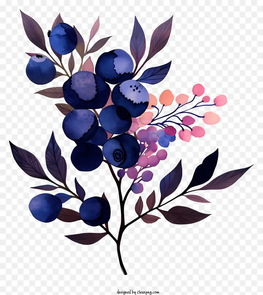 Les Bleuets，Fleurs Roses PNG