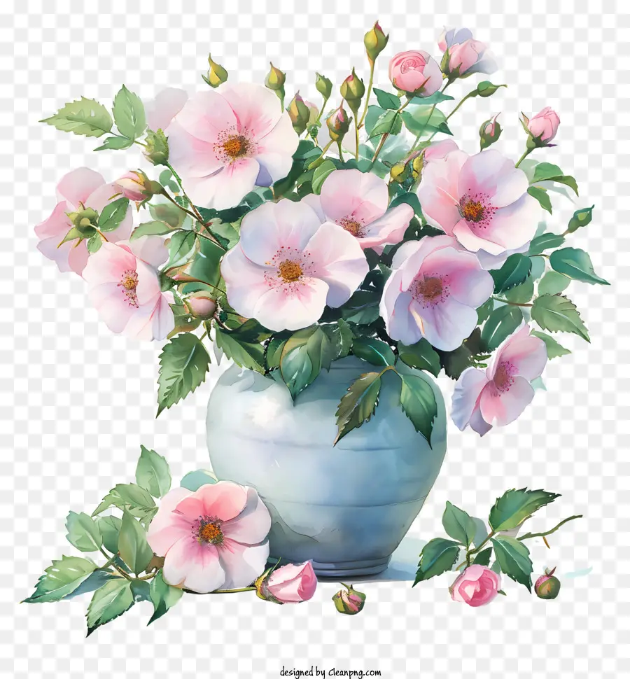 Chine Rose Flower，Peinture PNG