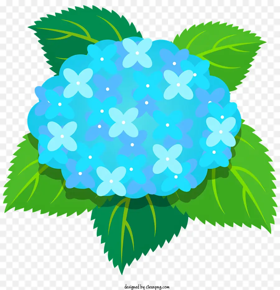 Fleurs，Bouche Bleue PNG