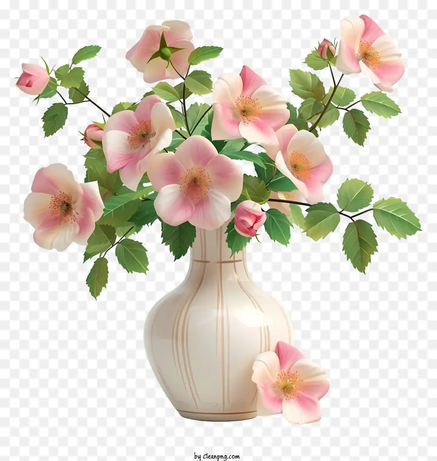 Chine Rose Flower，Les Roses Roses PNG
