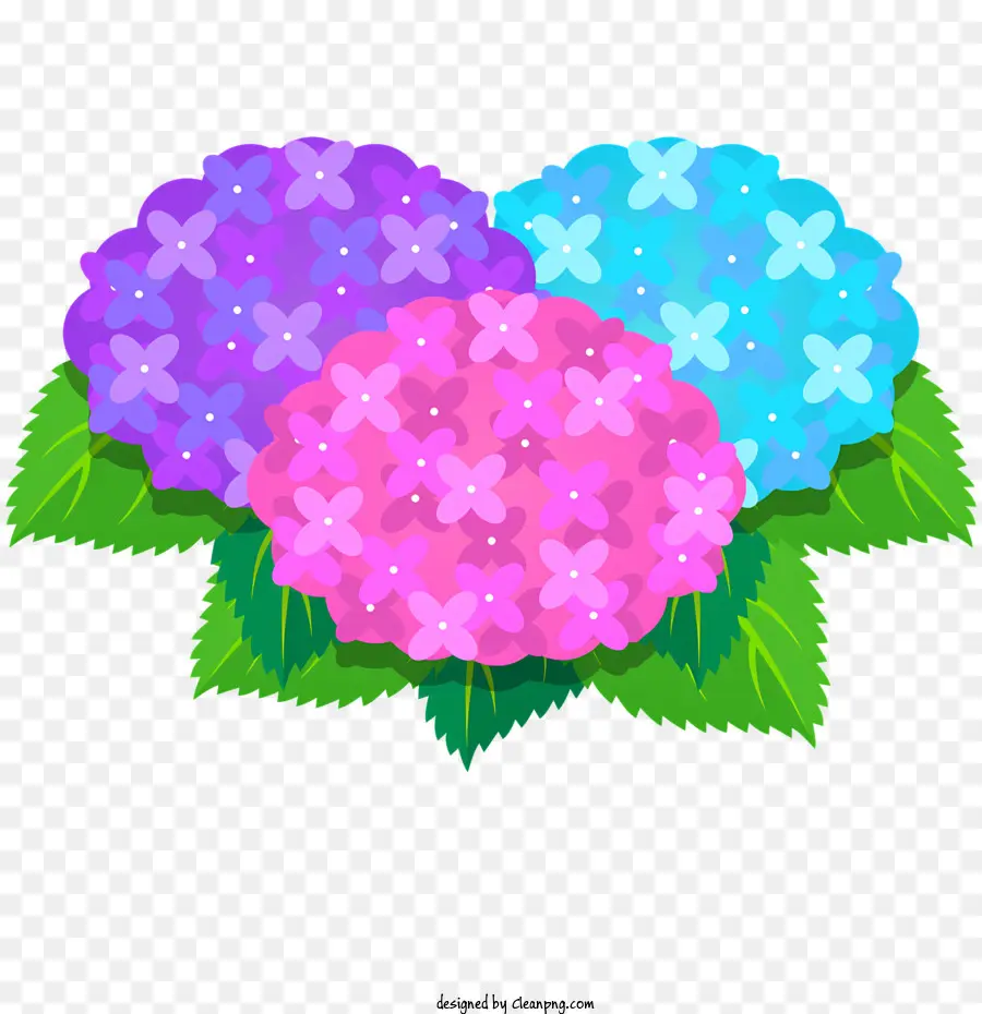 Fleurs，Fleurs Colorées PNG