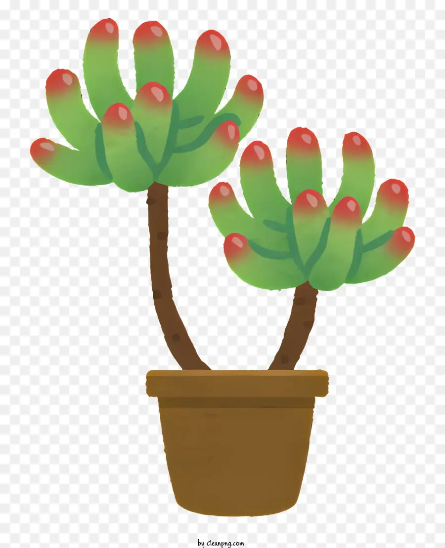 Plante，Petit Cactus PNG