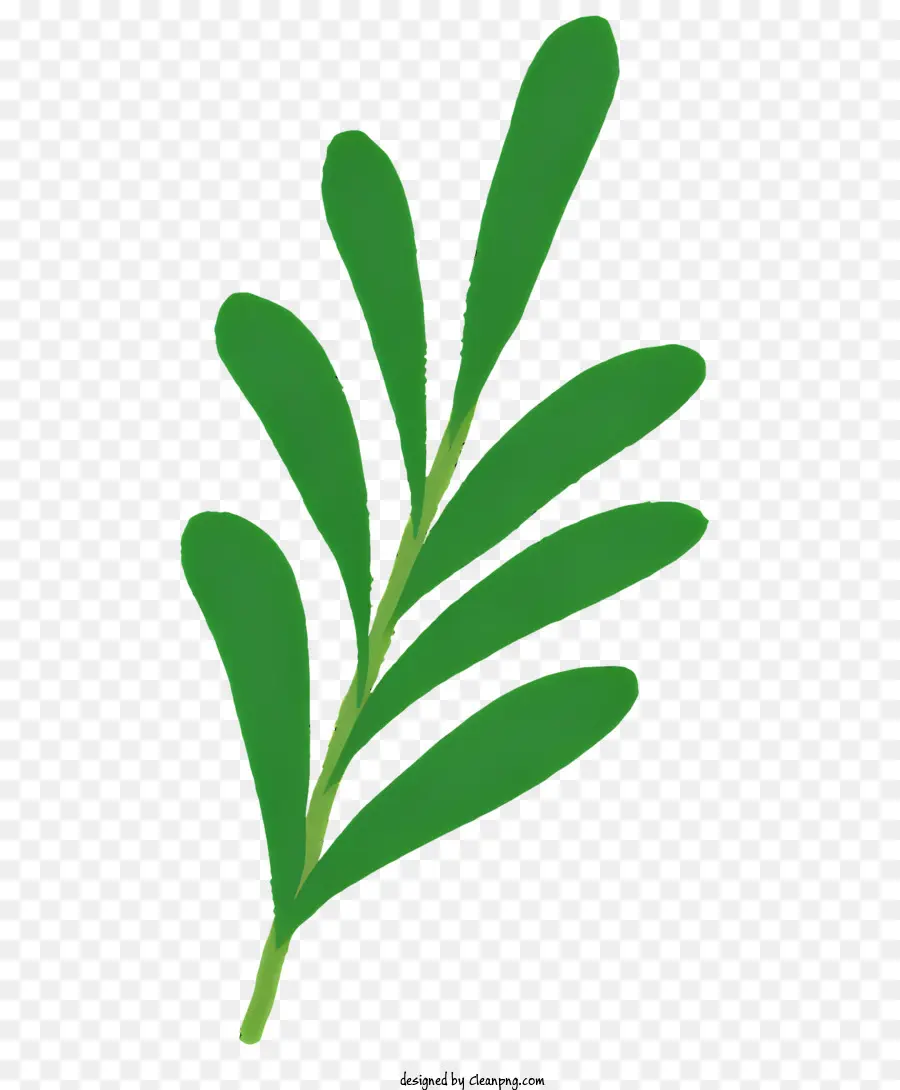 Plante Verte，Vue Rapprochée PNG