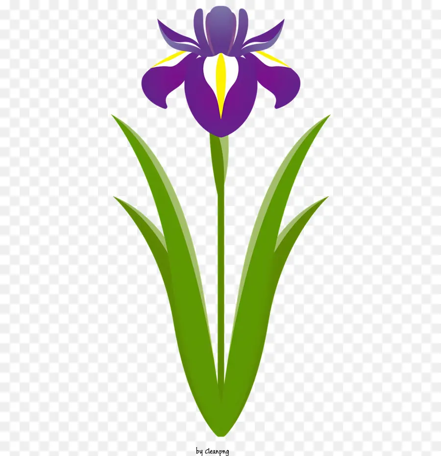 Fleurs，Iris Fleur PNG