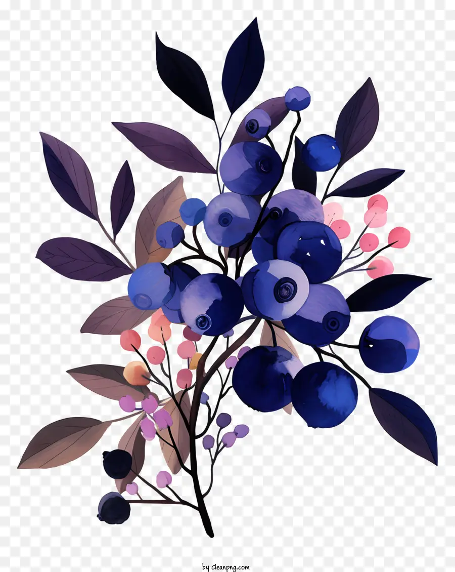 Les Bleuets，Petites Feuilles PNG