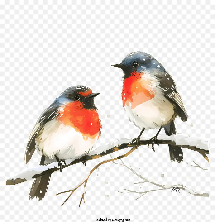 Oiseaux Tremblants，Oiseaux Dans La Neige PNG
