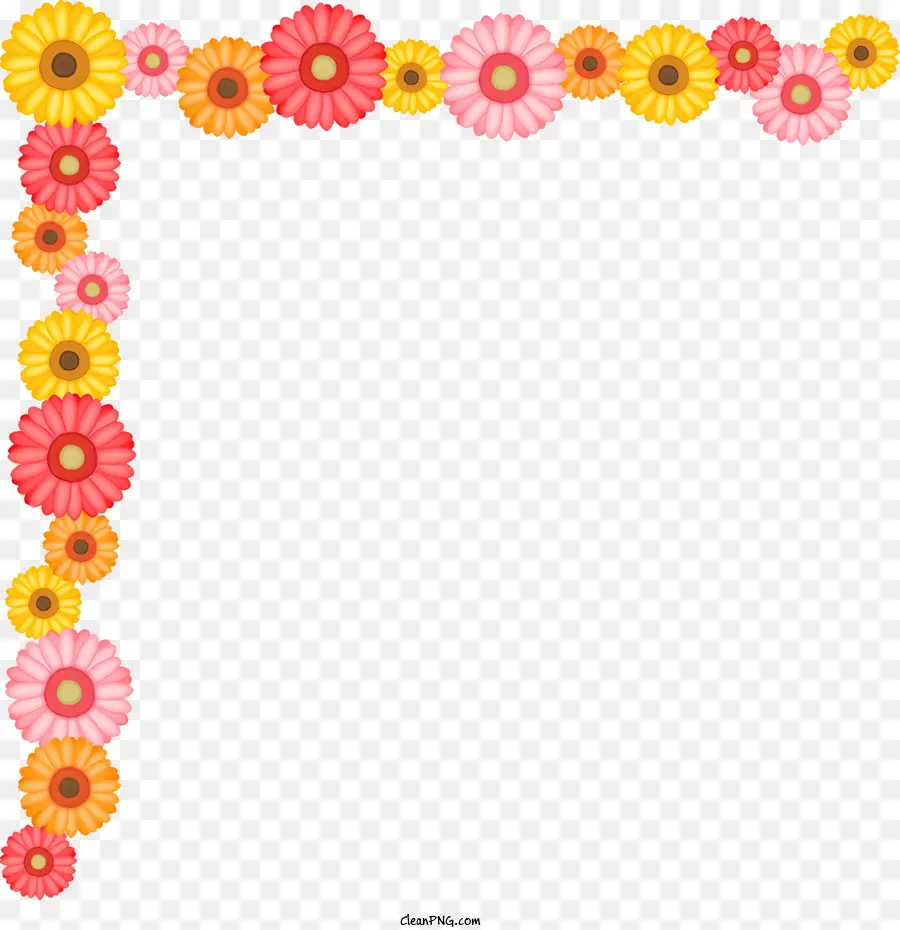 Fleur De Coin，Bordure De Fleurs PNG