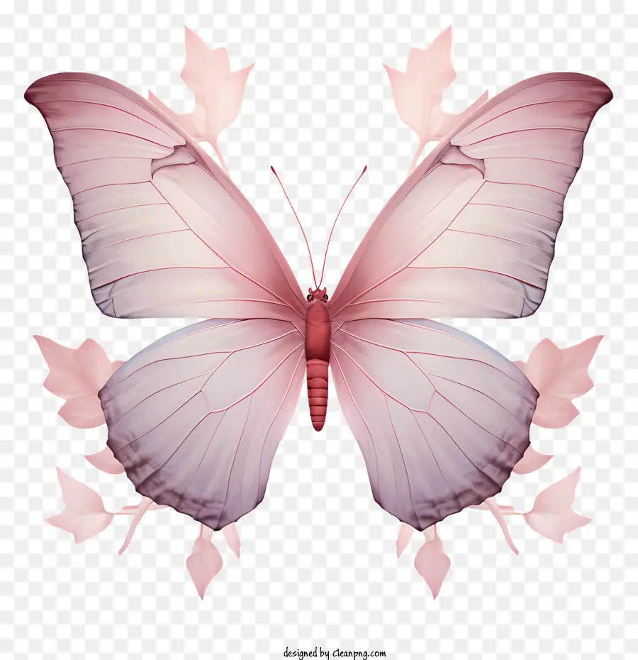 Papillon，Papillon Rose PNG