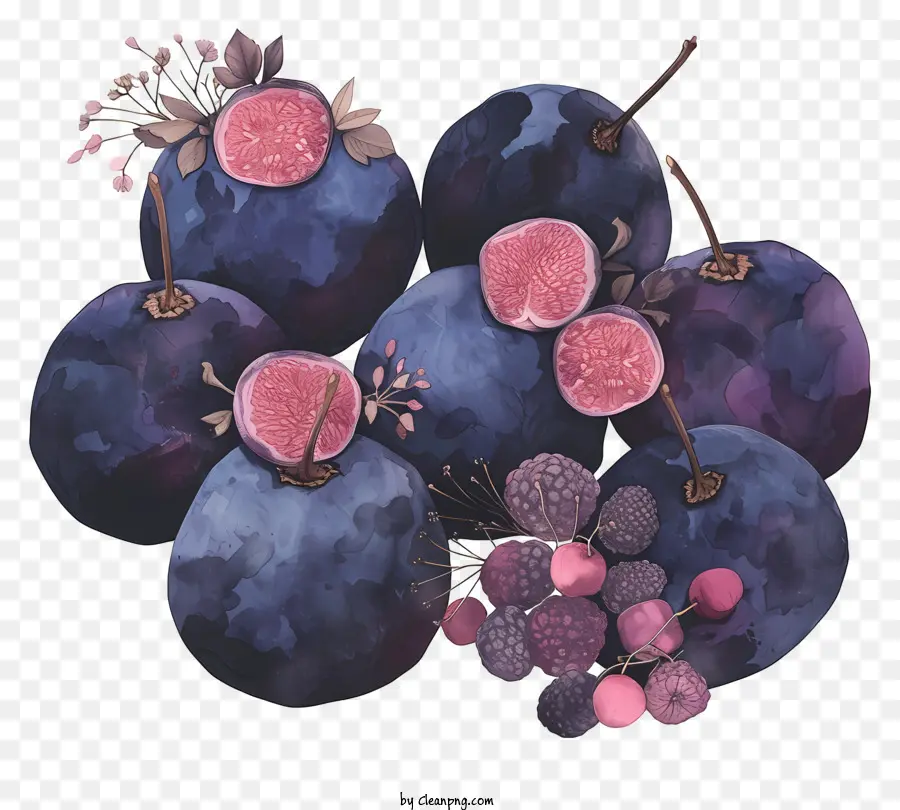 Bleuets，Fruits PNG