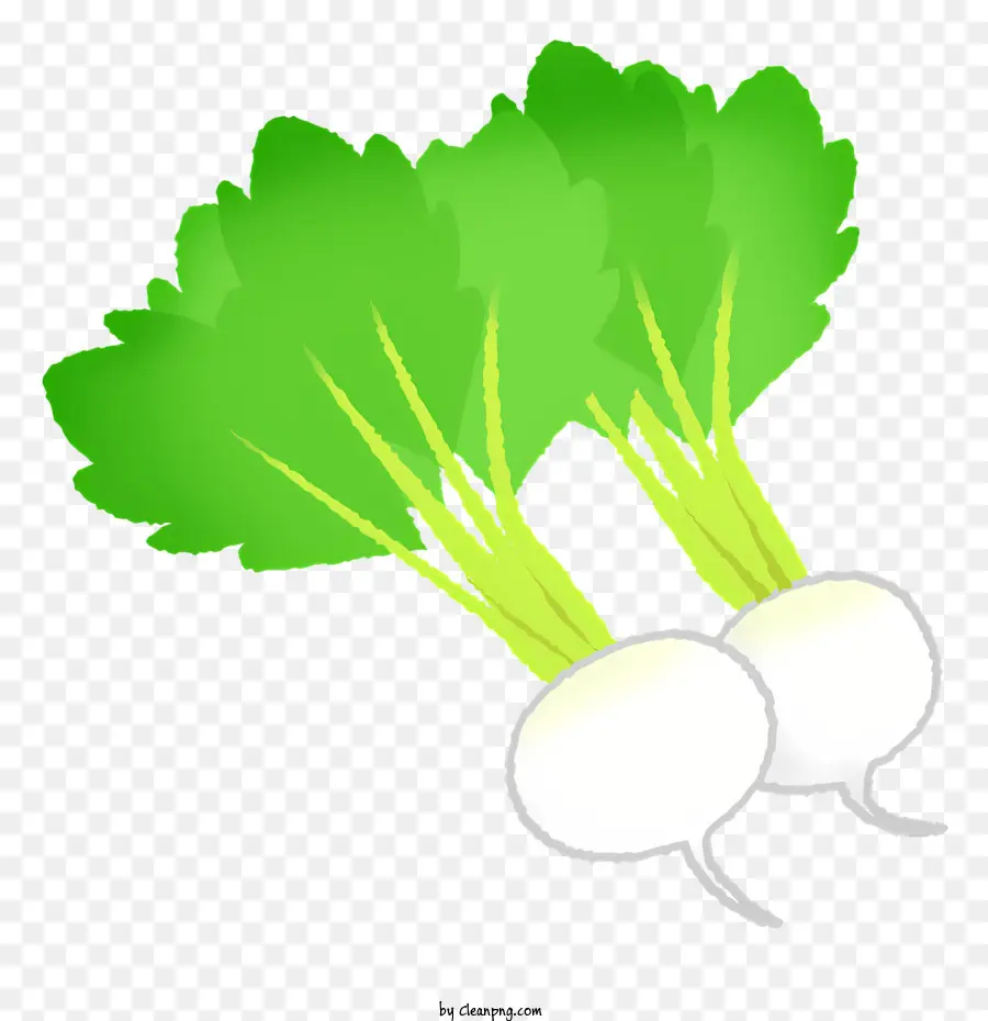 Des Radis，Légumes Frais PNG