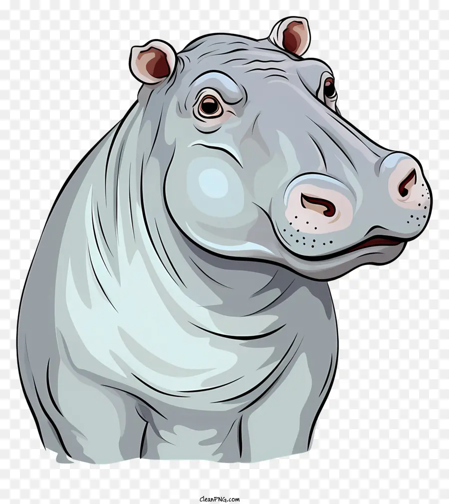 Hippopotame，Affronter PNG