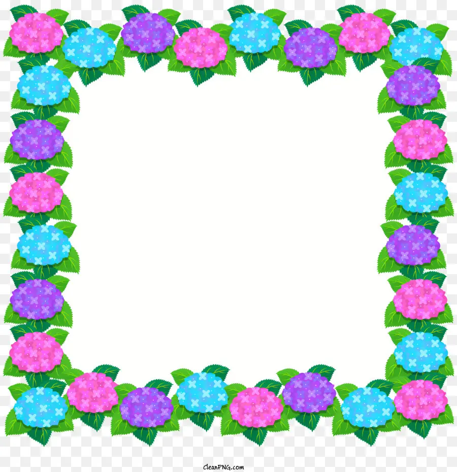 Cadre Floral，Cadre Hortensia PNG