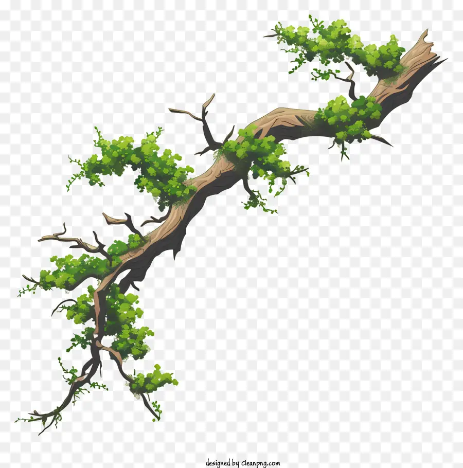 Branche Et Mousse，Branche D'arbre PNG