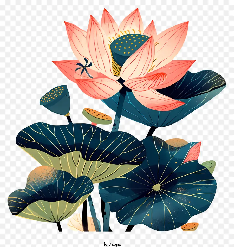 Fleur De Lotus，Fleur De Lotus Rose PNG