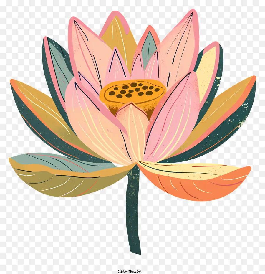 Fleur De Lotus，Usine PNG