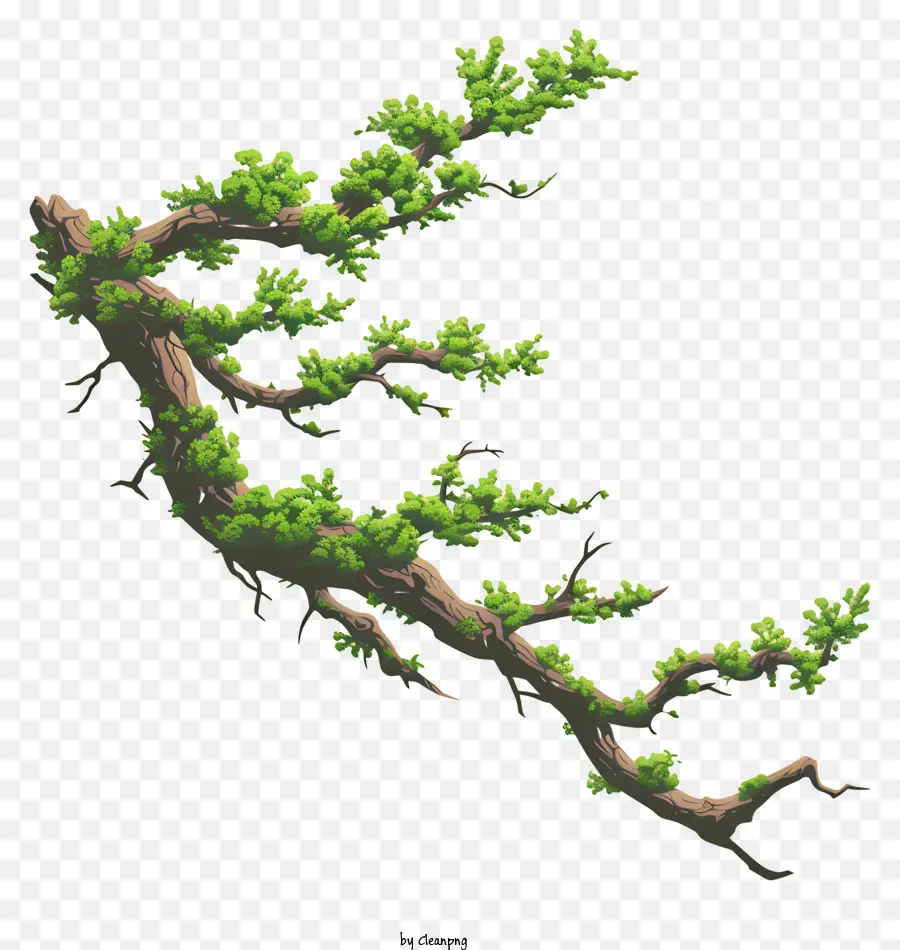 Branche Et Mousse，Branche D'arbre PNG