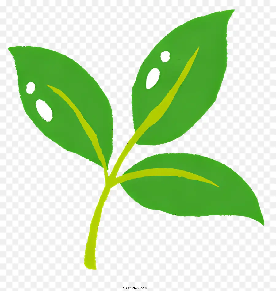 Feuille Verte，Plante PNG