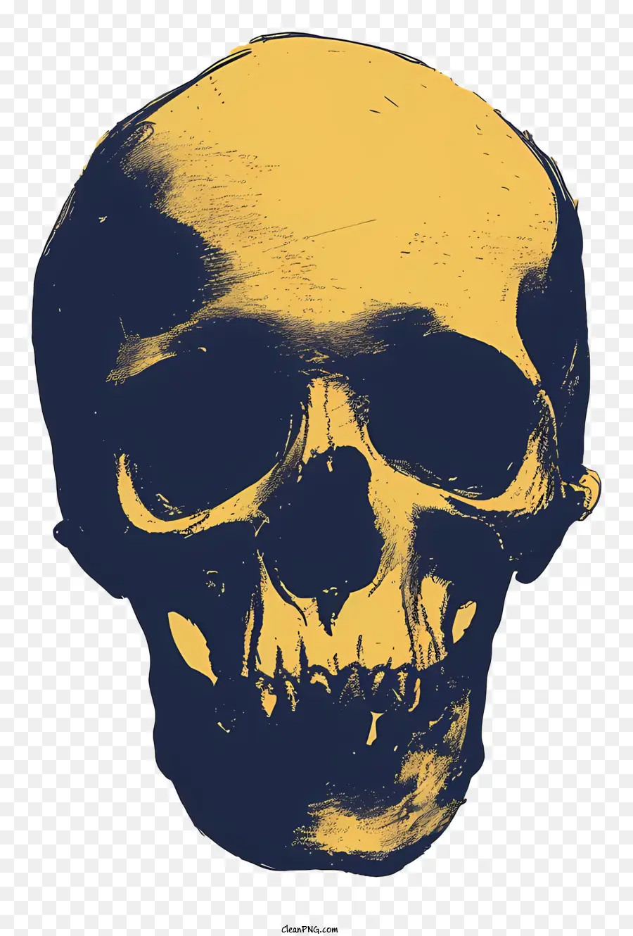 Tête De Mort，Crâne PNG