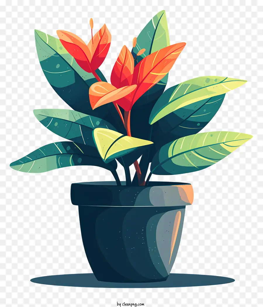 Moderne Pot De Fleur，Plante En Pot PNG
