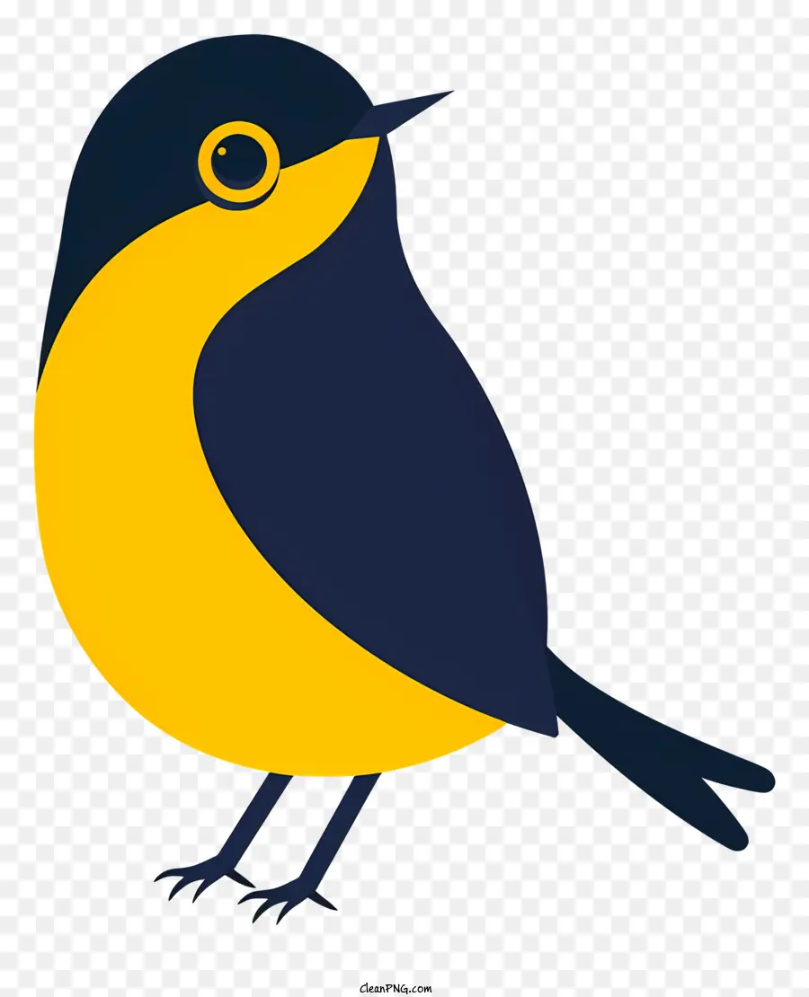 Oiseau De Dessin Animé，Oiseau Jaune Et Bleu PNG