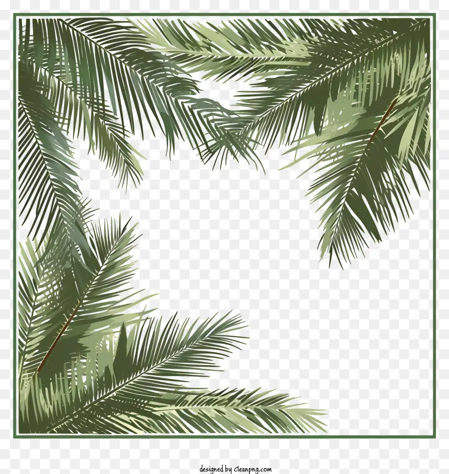 Des Branches De Palmier，Feuilles Vertes PNG