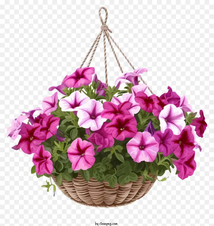 Icône élégante De Panier Suspendu De Fleur De Pétunia，Fleurs Violettes PNG