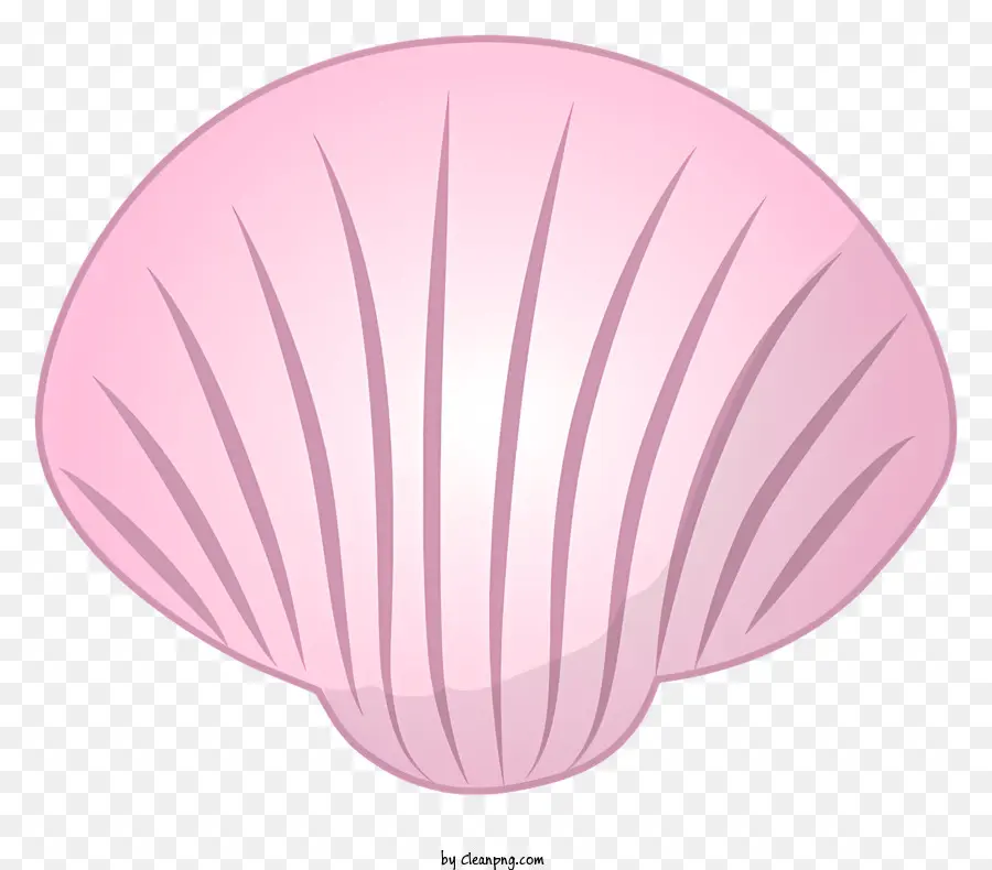 Coquillage，Coque De Pétoncle Rose PNG