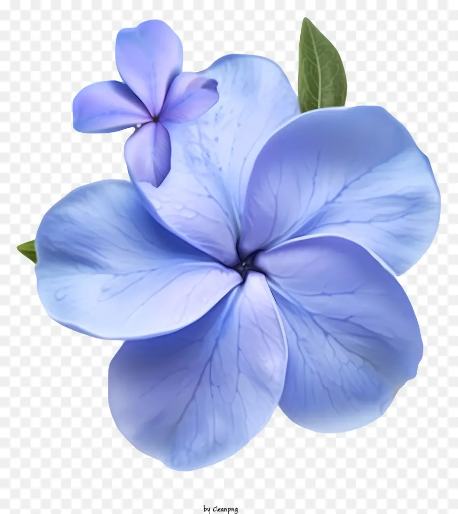 Icône De Fleur De Périwinkle élégante，Fleur Bleue PNG