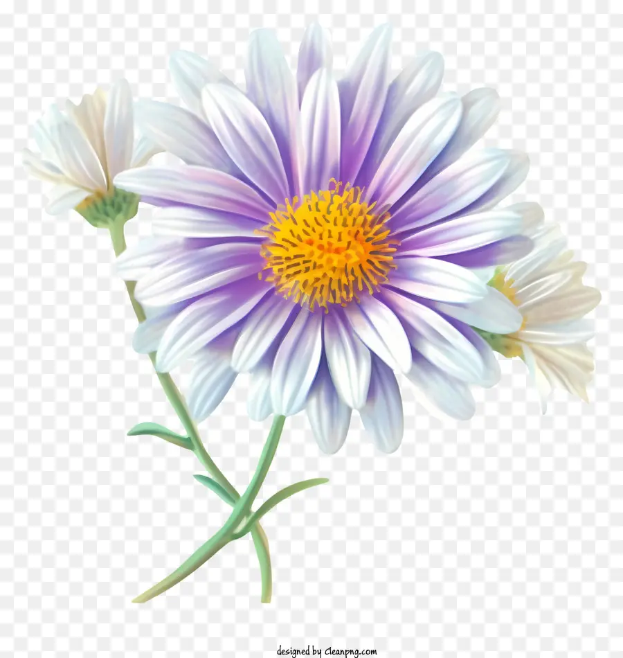 Icône De Fleur D'aster élégante，Fleur PNG