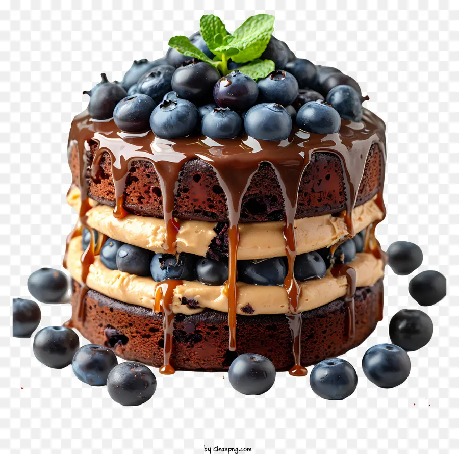 Gâteau，Gâteau Au Chocolat PNG