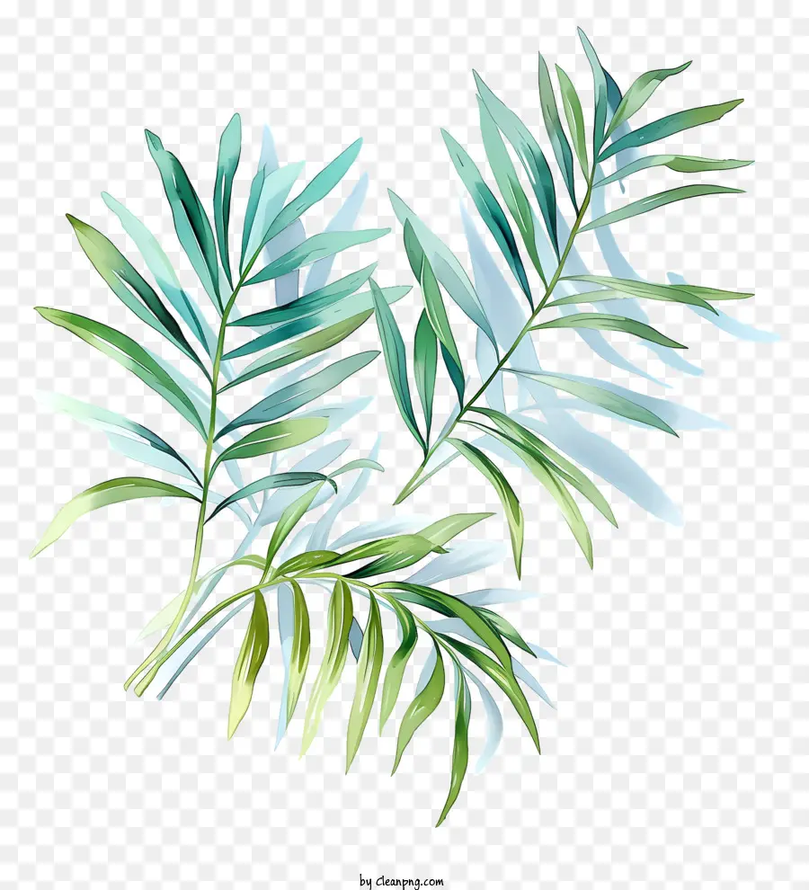 Des Branches De Palmier，Feuille Verte PNG