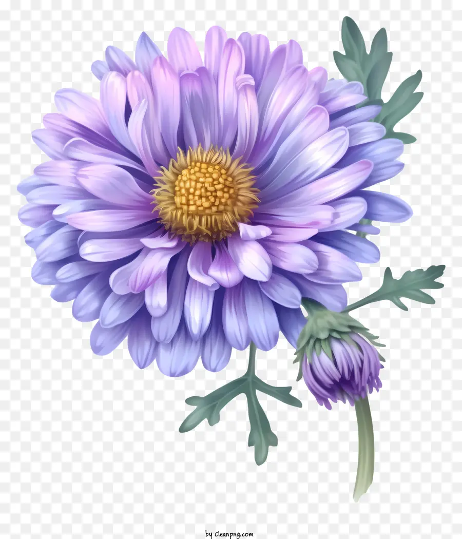 élégant Vecteur De Fleur D'aster 3d，Fleur Violette PNG