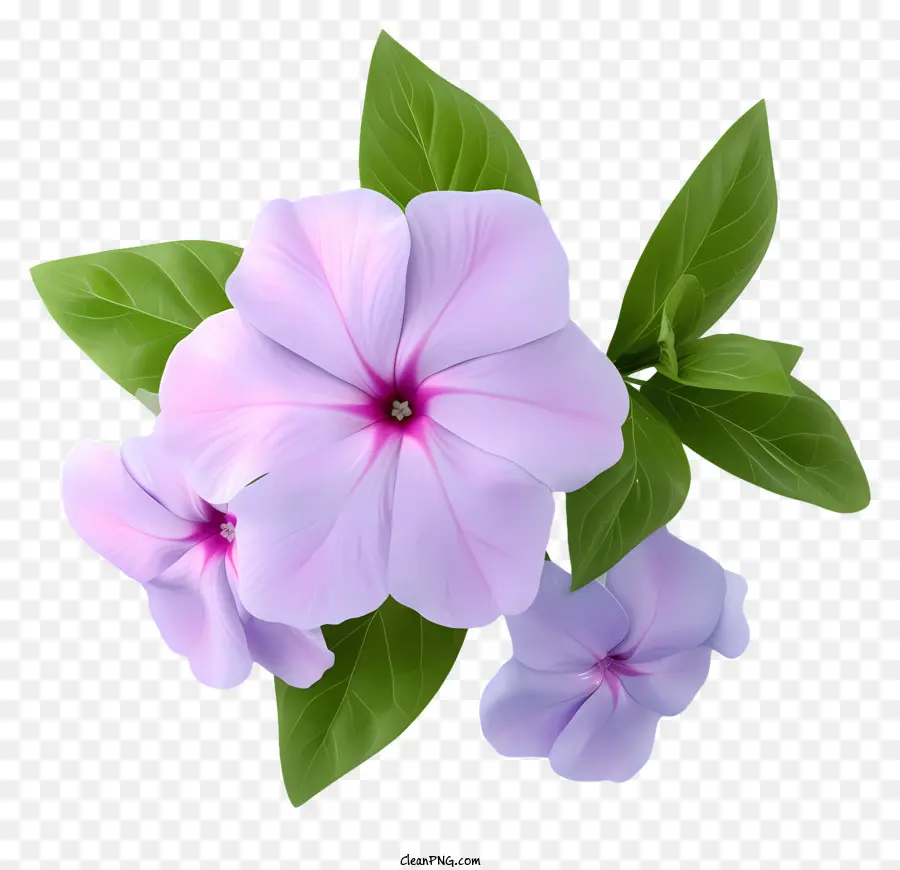Élégant Vecteur De Fleur De Perwinkle 3d，Fleur De Panoramique Violet PNG
