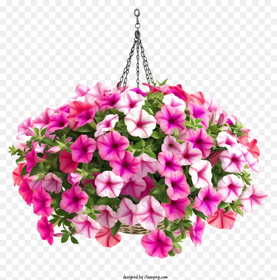 Elegant Petunia Flower Hanging Banket Vector 3d，1 Panier Suspendu PNG