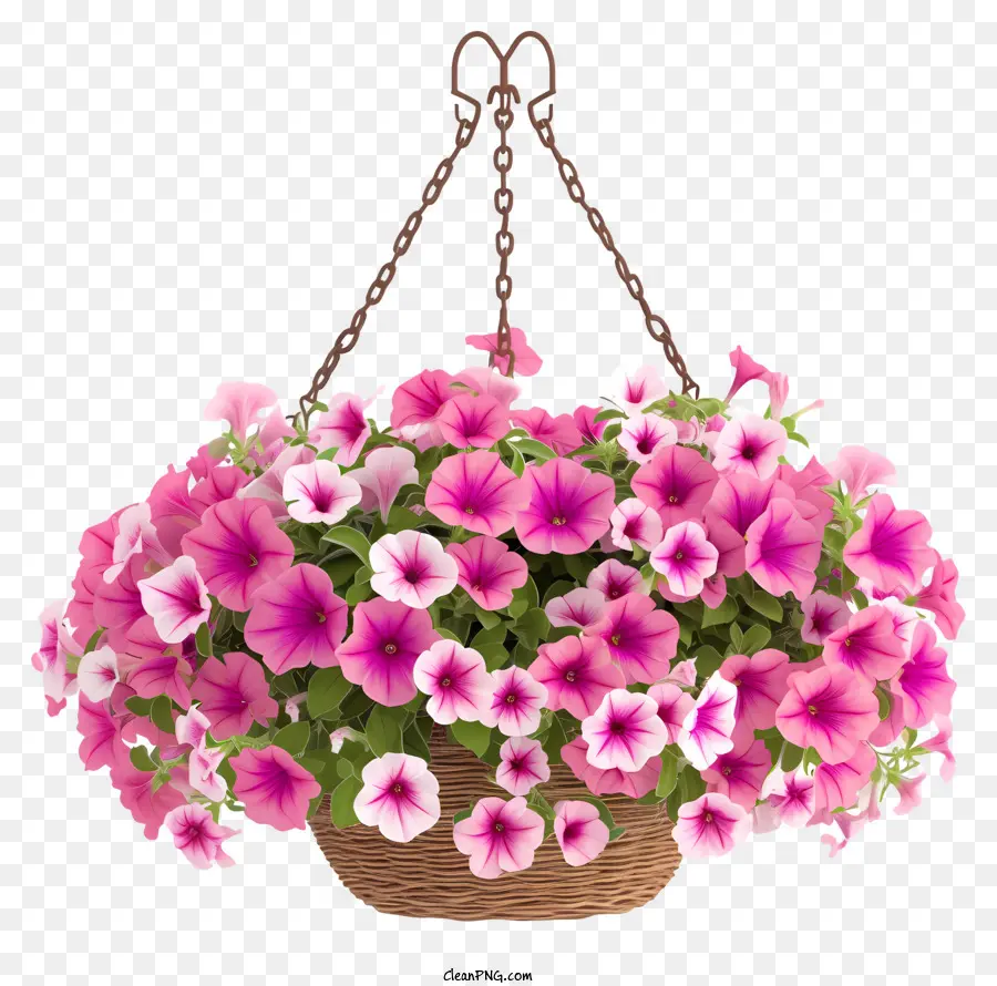 Elegant Petunia Flower Hanging Banket Vector 3d，Panier Suspendu PNG