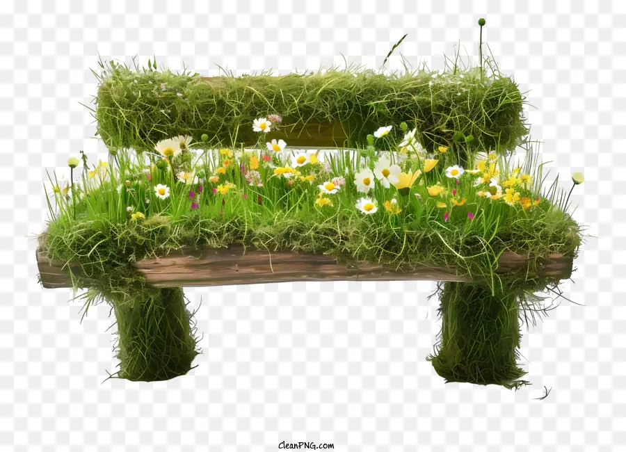 Banc D'herbe，Banc En Bois PNG