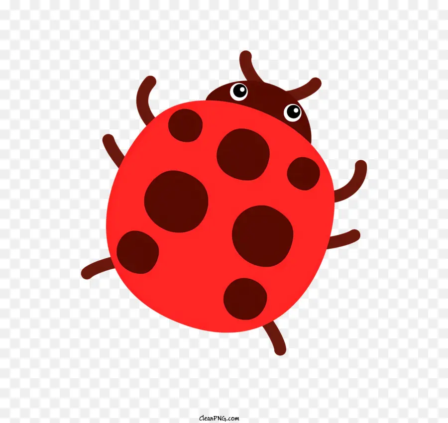 Coccinelle，Rouge Coccinelle PNG