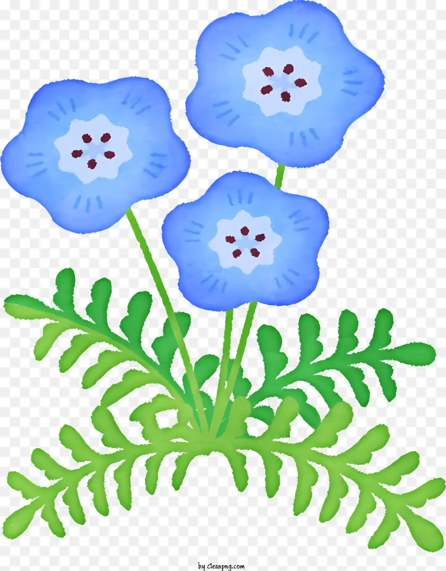 Fleur De Périwinkle élégante，Fleurs Bleues PNG