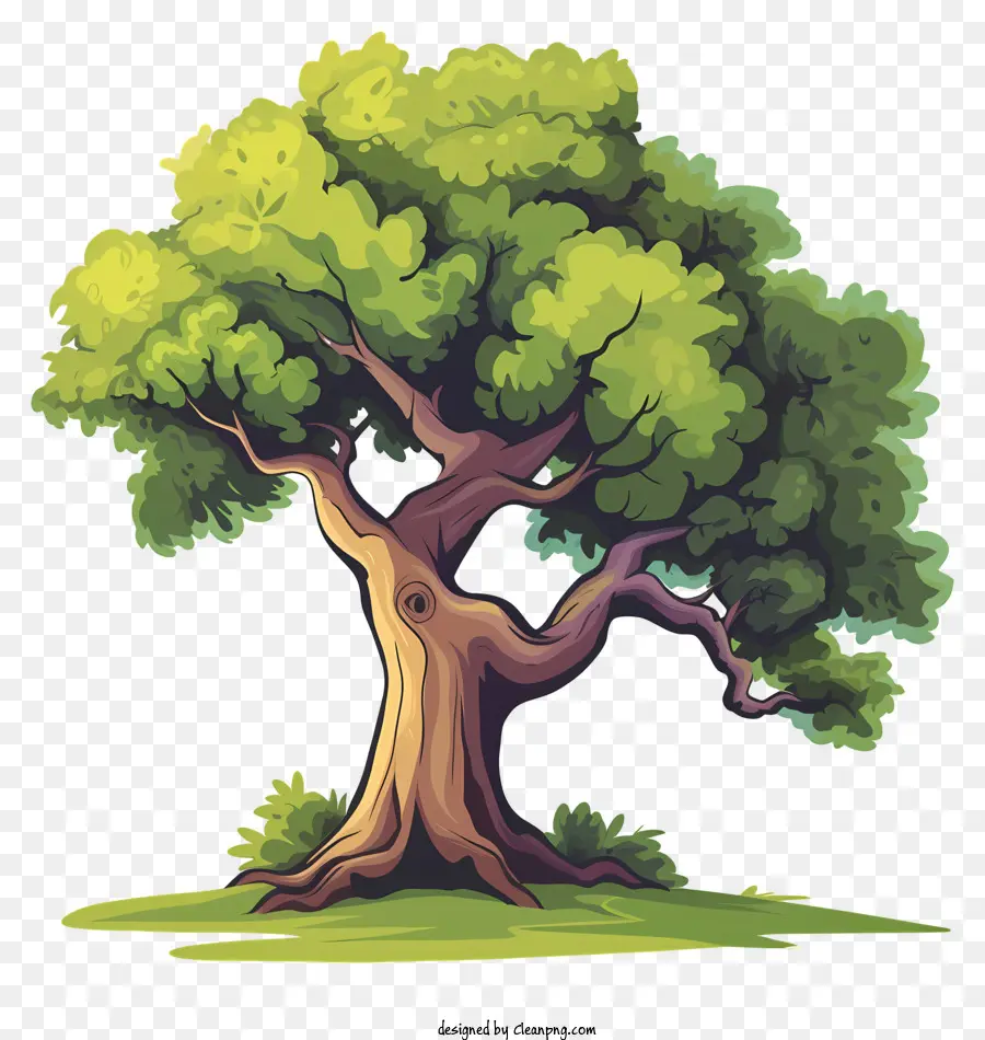 Arbre，Feuilles PNG