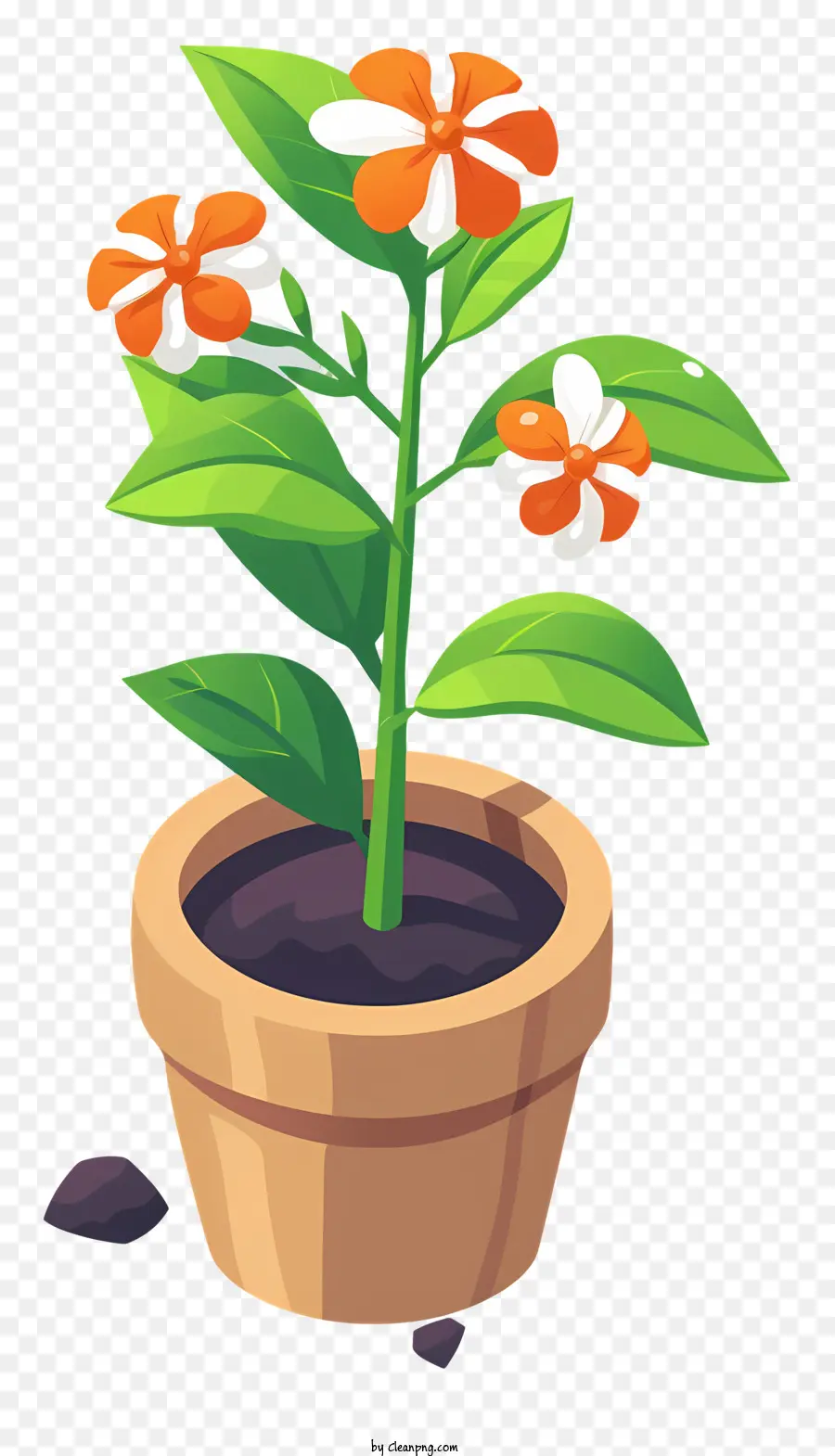 Plantez Une Journée De Fleur，Pot De Fleur PNG