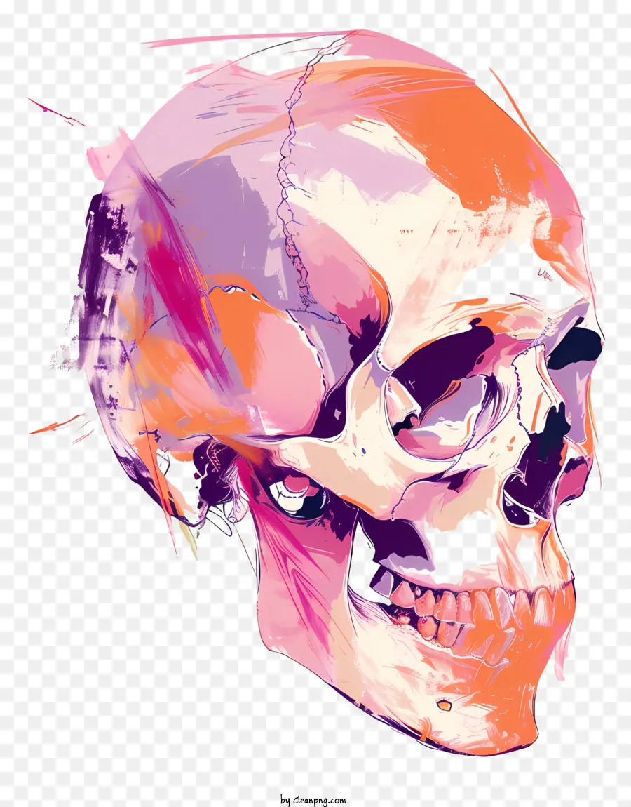 Tête De Mort，Crâne Stylisé PNG