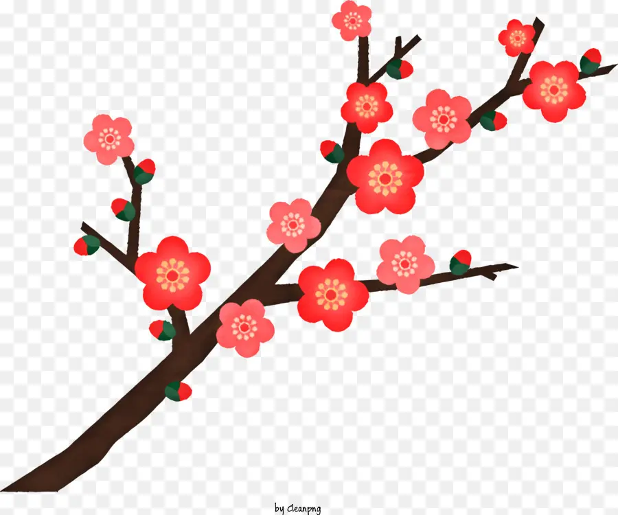 Fleur，Fleurs De Cerisier PNG