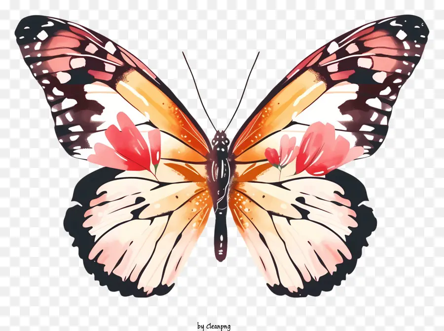 Papillon élégant Plat，Papillon PNG