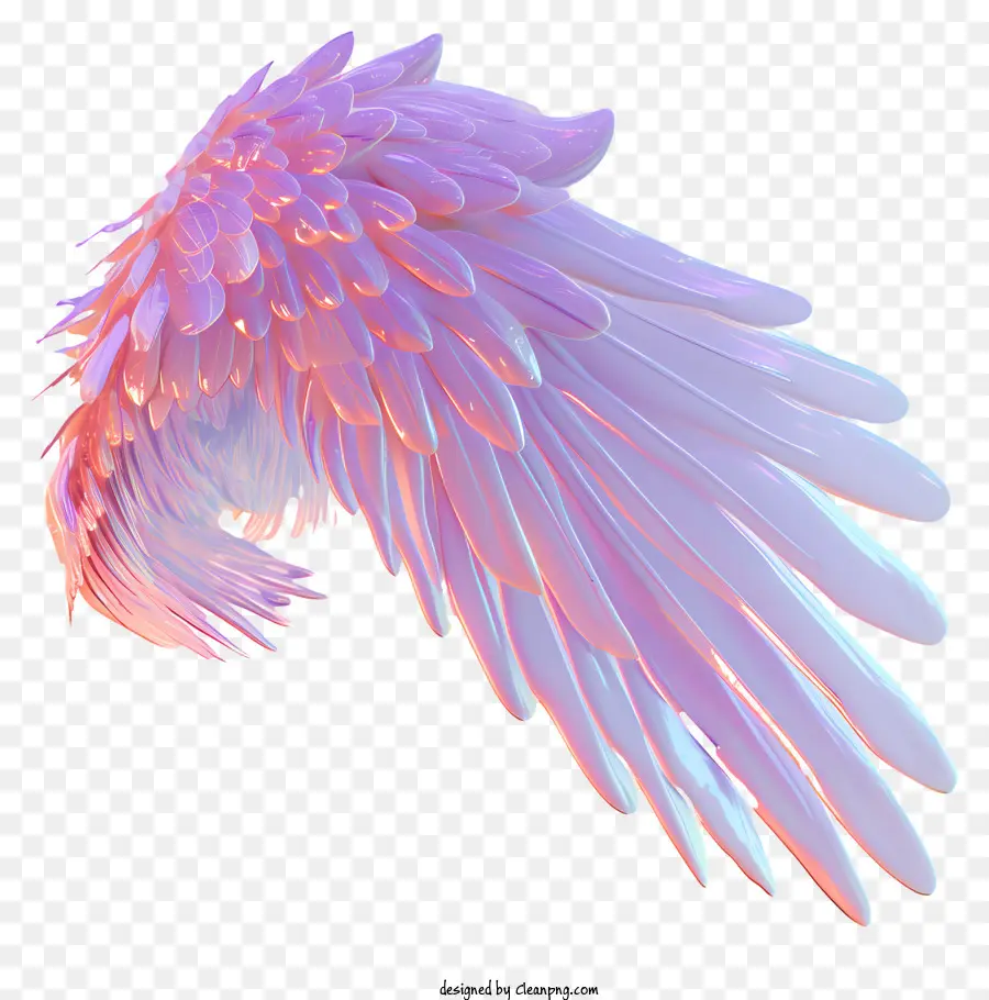 Les Ailes De L'ange，De Rose Et De Violet PNG