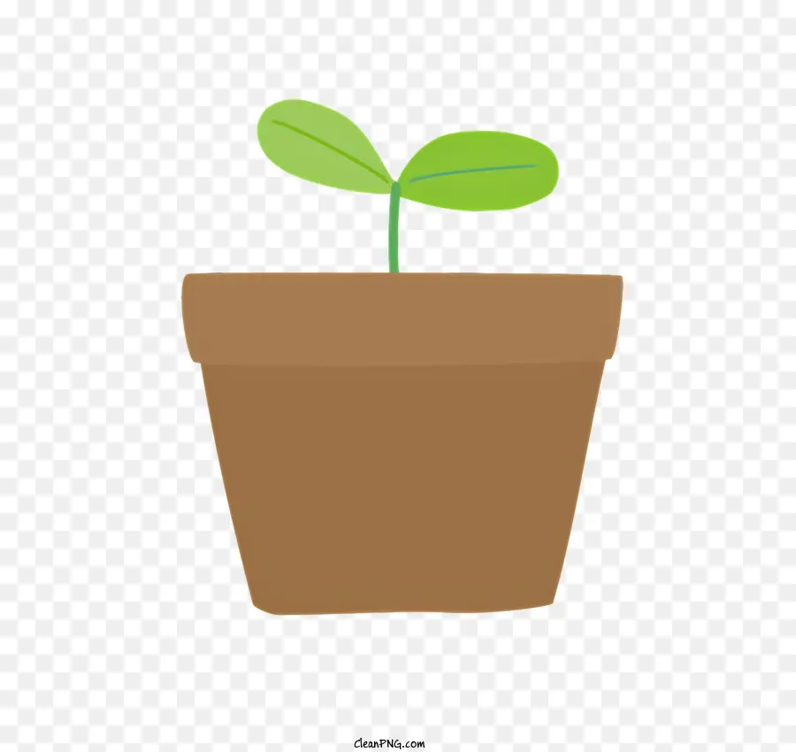 Germer，Plante En Pot PNG