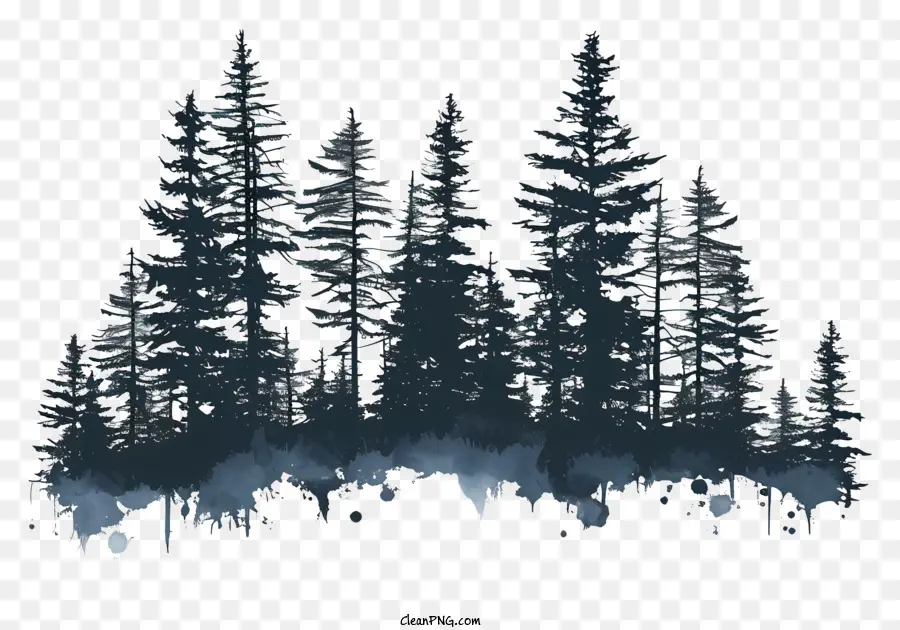 La Forêt De La Silhouette，De La Forêt Sombre PNG