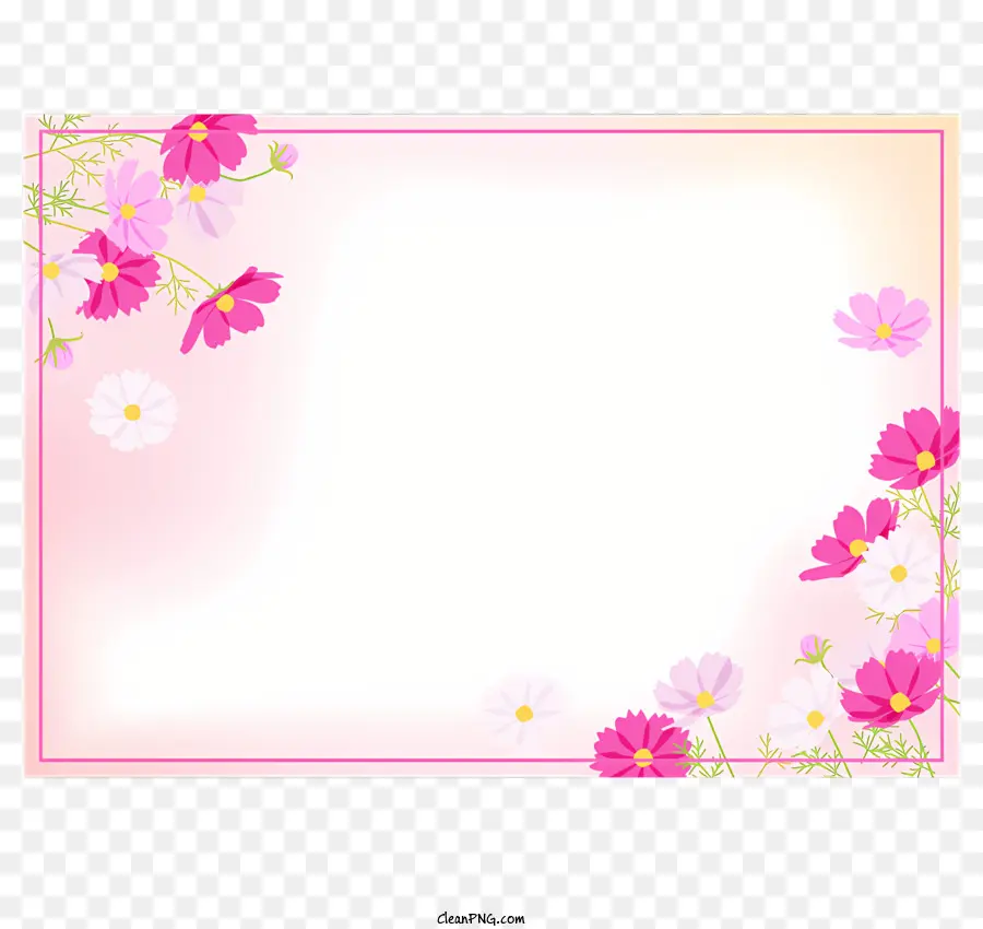 Cosmos Flower Cadre，Fleurs Roses PNG