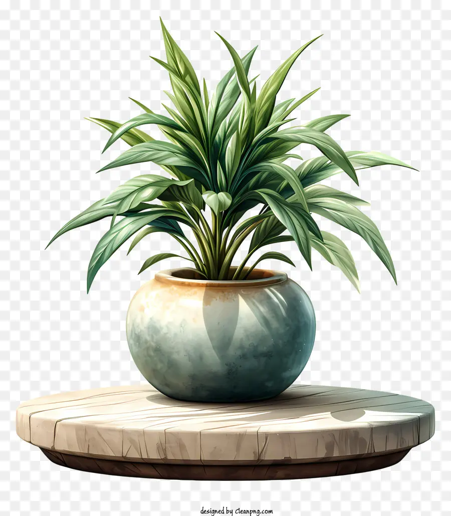 Usine，Plante En Pot PNG