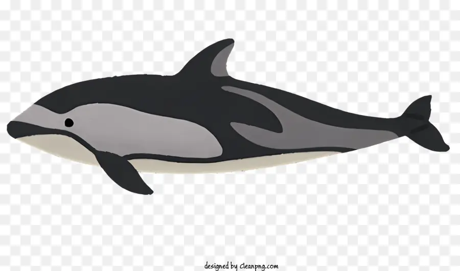 Dauphin，Baleine PNG