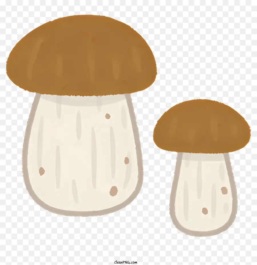 Champignons，Brun Mushroom PNG